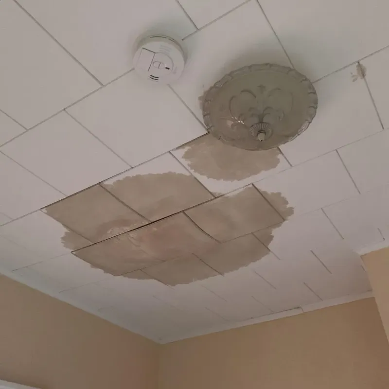 Ceiling Water Damage Repair in Hustisford, WI