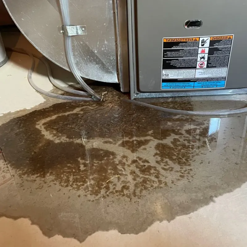Pipe Burst and Leak Restoration in Hustisford, WI
