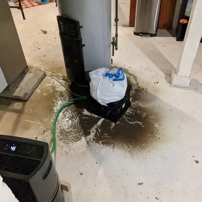 Sewage Backup Cleanup Service in Hustisford, WI